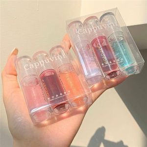 Läppglans 3st Transparent Crystal Jelly Shiny Clear Mirror Moisturizing Glitter Liquid Lipstick Oil Fruit Tint