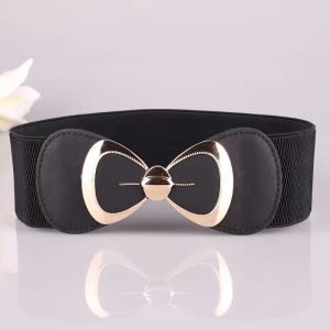 New Arrivals Timelimited Designers New Fashion Allmatch Belt Korean Style Womens Belt Bow Elastic Band Girdle Manufacturers Belt w Jpk