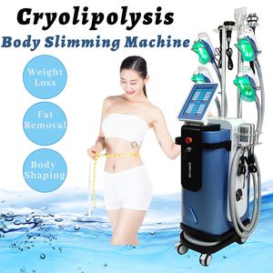 Mini cabeças crio -cabeças de queixo duplo queixo criolipolisis Slimming Machine Perda de peso 40K Equipamento vertical de redução de gordura de cavitação ultrassônica de 40k