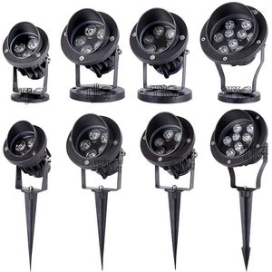 Лампа газона Spike Light DC12V AC110V 220V Наружный водонепроницаемый путь сад Spot Lack 3W 6W 10W 12W 18W Декор ландшафт RGB