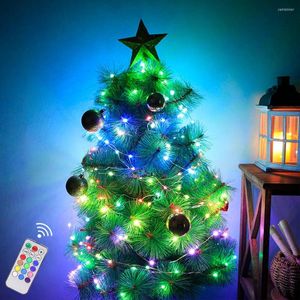 Dizeler Garland Peri Işık USB String Lights Multo -Molor Party Xmas Lamba Noel Ağacı Düğün Dekorasyonu Uzaktan 5m 10m