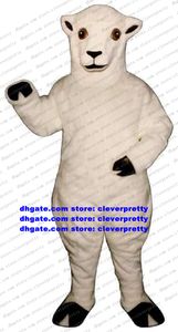 Mascote de cabra de ovelha branca traje de caráter de desenho animado para adultos de caráter de caráter solicitando empresários usá -los zx2965