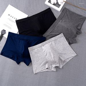 MUITAS PONTAS 3XL Tamanho grande Moda de moda jovem modal Roupa íntima Middle U Bolsa Bolsa Bolsa Bolsa de Elasticidade Alta Solididade Boxers Simples Solides Simples