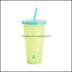 Tumblers PP Material Färgbyte Kopp Fashion Temperaturavkänning kaffemuggar Sug TUBAR med lock Tumbler återanvändbar tydlig plasti dhqa5