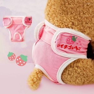 Dog Apparel Shorts Pet Physiological Pants Cartoon Embroidery Washable Puppy Kitten Female Diapers Menstruation Underwear Items