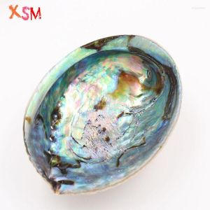 Pendant Necklaces Xinshangmie Fashion Abalone Shell One Side Polished Natural Conch Home Decoration Aquarium Landscaping Wedding Landscape