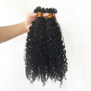 100 Strands U Tip in Human Hair Extension Brazilian Remy Human Hairs Pre-bonded Nail Tips Extensions 8-30inch