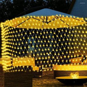 Strängar 3x2m 10x1m 6x4m LED Net Lights Outdoor Mesh 8 -lägen Plug i vattentät julsträng för buskar dekor