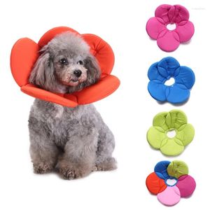 Hundebekleidung Genesung Pet Cone E-Collar für Katzen Hunde Blume Elizabeth weiche Dacron Schwamm Füllungsschützer-Kragenpackung