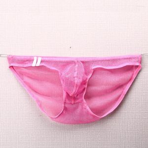 UNDANTANT ERKEK BRIES BRIHS POUCH DOĞRU RENK YUŞUK YUŞUK ALI YÜKSEK Perspektif örgü G-String Bikini