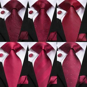 Papillon Hi-Tie Mens Gift Tie Set Vino rosso Borgogna Paisley Silk Wedding For Men Fashion Design Quality Hanky Gemello Drop