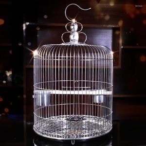 Bird Cages Travel Tray Cage Feeder House H￤ngande utomhus stora papegojor Canary Nidos Para Pajaros Pigeon Supplies Dl6nl