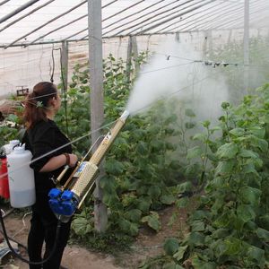 Sprühgeräte Hochdruck-Wassernebel- und Nebelmaschine mit doppeltem Verwendungszweck Tragbares Benzinsprühgerät Großer Impuls