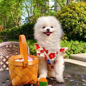 Vestuário para cães coreanos de animais de estimação coreanos primavera e mangas voadoras de verão, saia curta, vestido de urso de ursinho lindos