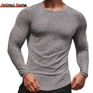 Men's T-Shirts Fashion Mens Casual Quick-drying Sports Tight Bottoming Shirt Fitness Striped Training Long-sleeved T-shirt Couple Yoga Tops 221117