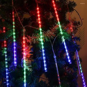 Corde 2 Set Luci di pioggia di meteoriti Albero di Natale Fata all'aperto Patio Tende da matrimonio per feste Decorazione da giardino Decorazioni per la casa Navidad