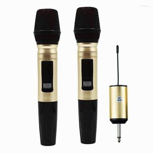Mikrofone UHF Wireless Mikrofonlautsprechersystem mit Empf￤nger 3,5 mm 6,35 mm Adapter f￼r Karaoke -DJ -Sprachaufzeichnung