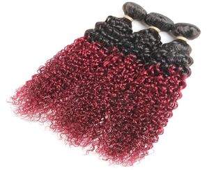 1Burgundy Extensions ombre Extensions B j Brasilian Kinky Curly Hair Weave Red Remy Ombre Human Hair Bundles8666870