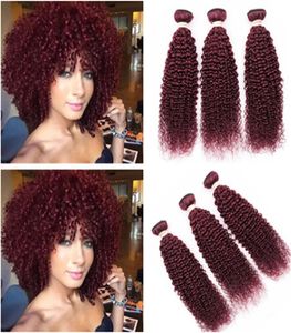 Virgin Brazilian Wine Red Human Hair Bundles Reating Kinky Curly 99J Burgundia Red Red Virgin Hair Weves Extensions Double Weft 3