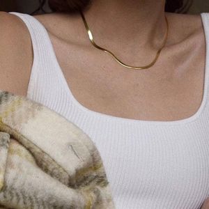 Trendy Street Style 18k Gold Necklaces Plated Short Herringbone Chain Choker Necklaces for Women Minimalist Necklace239S