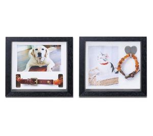 Cat -kragen leidt Pet Memorial Picture Frame Loving Dog Remembrance Sympathie of eerbetoon