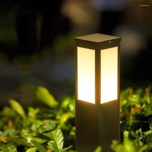 Outdoor Solar LED Lawn Light Waterproof Iron Art Pillar Bollard Villa Courtyard Landscape Stand Lights