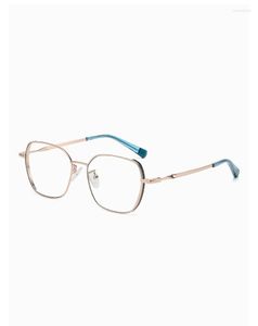 Óculos de sol enquadra metal duas cores poligonal anti -azul espetáculo feminino feminino simples e moda miopia óculos lc201