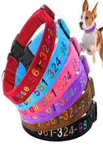 Collares de gato Leads Accesorios para perros Collar personalizado Etiqueta de identificación de nombre de nombre suave y acolchado para perros pequeños grandes grandes