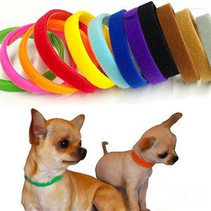 Hundhalsar 12 st 20/35 cm whelping valp kattunge ID -band Justerbar identitetsigenk￤nning krage f￶r husdjurskattprodukt