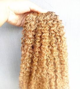 Brasil Human Virgin Remy Kinky Curly Hair Extensions Dark Blonde 27 Color Hair Weft 23bundles para cabeza completa7445799