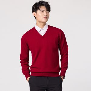Men's Sweaters Man Pullovers Winter Fashion Vneck Sweater Wool Knitted Jumpers Male Woolen Clothes Standard Tops 221121