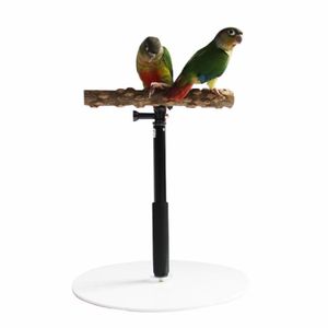 Andra husdjurstillbeh￶r Parrot Desktop Stand Justerbar Playstand f￶r Bird Training Wood Portable Tee Play Abbor 221122