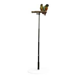 Andra husdjurstillbeh￶r Bird Stand Training Rack Desktop Tr￤utdragbar abborre f￶r papegojor Paraketter 221122
