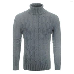 Erkekler Tişörtler Sıradan Erkekler Kış Düz Renkli Kaplumbağa Boyun Uzun Kollu Twist Örme İnce Sweater Erkek Sweaters Külot Örgü