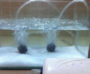 Air Pumps Accessories Aquarium Fish Pond Oxygen Pump With 2Pcs Bubble Disk Stone Aerator Tank Compressor Check Valve Tube 220V 5