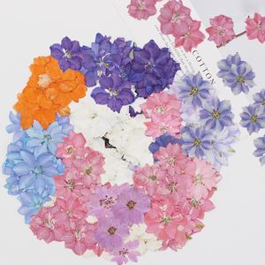 Decorative Flowers Wreaths 60pcs Pressed Dried Consolida Ajacis Flower Plant Herbarium For Jewelry Postcard Invitation Card Phone Case Bookmark DIY 221122