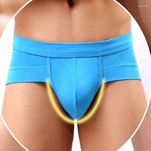 Underpants 3xl Мужское нижнее белье модальная низкая талия сексуально U выпуклый карманный треугольник