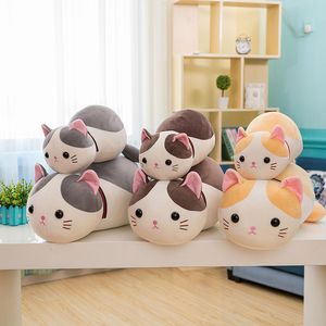 Plush Toy Cat Teacher Doll Cute Kitten Doll Girls Like Gifts