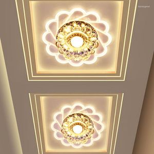 Ceiling Lights 3W LED Entrance Light Corridor Aisle Downlight Lamp Home Living Room Bulbs AC85-265V