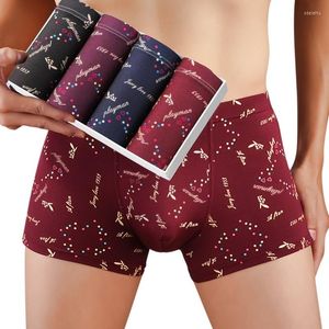 Underpants Mens Boxers Sexy Underwear Soft Long Boxershorts Cotton Male Panties 3D Pouch Shorts Under Wear Pants Short L-4XL