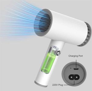 Electric Hair Brushes Dryer Portable Wireless USB Rechargeable Quick Dry Low Noise Blow Smart Cordless Travel 2Mode276V