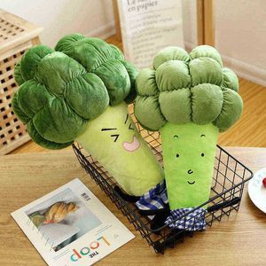 1pc 5565cm Cartoon Vegetable Cuddle Creative Brócolis travesseiro de pelúcia Ldren Cuddles Soft Ldren Birthday Gift WJ126 J220729