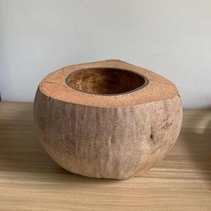 Bowls Coconut Shell Bowl Practical Safe Innovative Storage Candle Holder For Daily Use Container