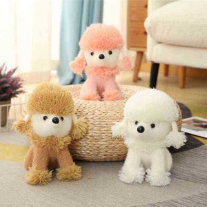 1pc 25cm Kawaii Teddy Köpek Peluş Oyuncak Güzel Dolgulu Gerçek Hayat Kaniş Bebekleri Ldren Bebek Doğum Günü Şirketi Noel Hediyesi J220729