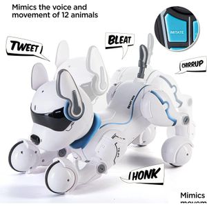 Electric/Rc Animals Rc Remote Control Robot Dog Toys With Touch Function And Voice Smart Dancing Imitates Animals Mini Pet Programma Dh18W