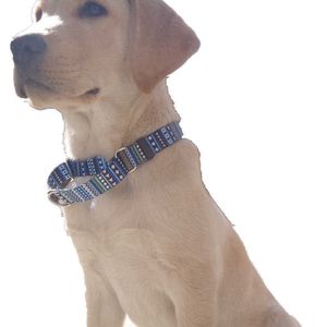 Style Bohemian British Pet Dog Collars Comfortable Colorful Adjustable Martingale Collar Fadeproof Sublimation Printing Designer Belt 2