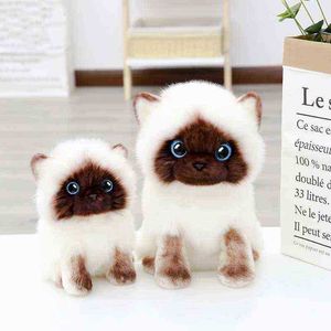 Simulazione Kawaii 2026Cm Gatto Siamese Cuddle Blue Paillettes Occhi Animali Gatti Ragdoll Decorazione Domestica Regalo Carino per Bambini J220729