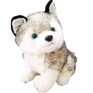 Baby Cuddles Cute Soft Husky Animali di peluche Bambole per cani per bambini Giocattoli per bambole Regali di compleanno per ragazze Giocattoli di alta qualità 202530Cm J220729