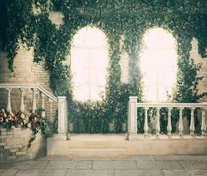 Grüne Reben Blumen dekorierte Fenster PO Studio Hintergrund für Hochzeitstreppen Steinzaun weiß roter Rosen Pographie Hintergründe