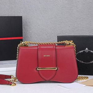 Lüks Kadınlar Zincir Crossbody Çantalar Düz Cowhide Omuz Çantaları Haberci Çanta Hangbags Cüzdan Altın Zincir Üçgen İşaret Dil Elemanı